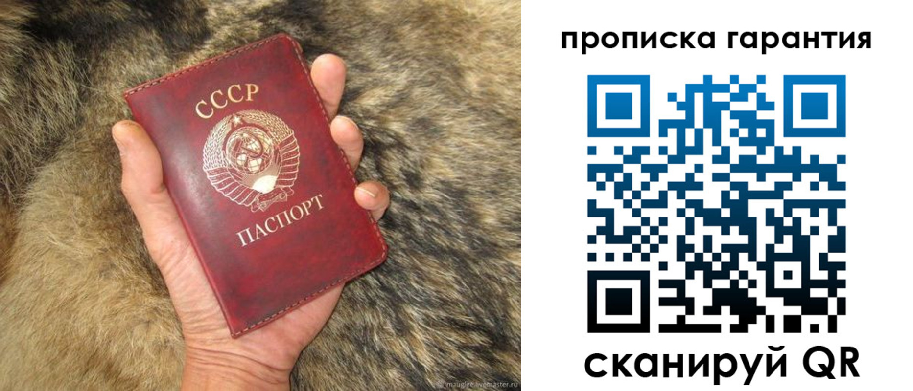 прописка паспорт в Саратове